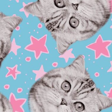 Cats Rule Superstars Camelot Cotton Fabric