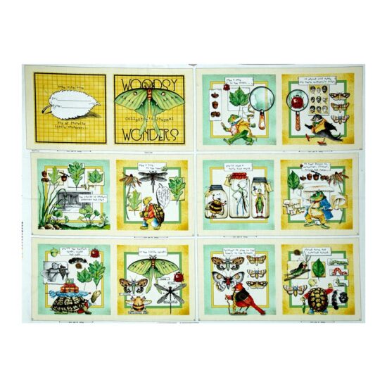 Woodsy Wonder Story Book Panel Quilting Treasures