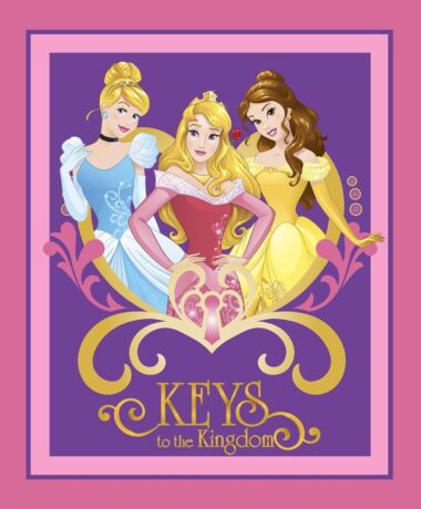 Disney Princess Keys To The Kingdom Panel